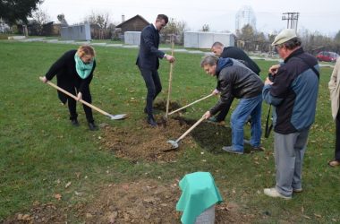 Planting a Tree of Peace