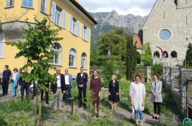 From the left of the Tree of Peace: Daniel Hilti, Kaspar Schuler, Marek Sobola, Sabine Monauni, Silvia Jost, Katharina Conradin and Doris Frick