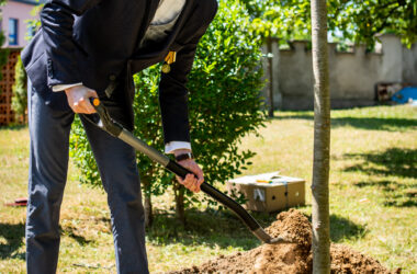 Tree of Peace planting ceremony dedicated to the Holocaust Victims