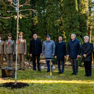 Tree of Peace Zvolen Pricne Radu