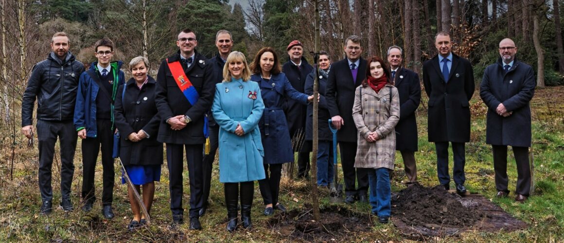 Platinum Jubilee Tree Brookwood Marek Sobola