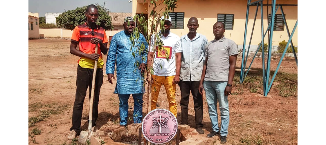 Tree of Peace Mali Africa Imperial House of Mandé