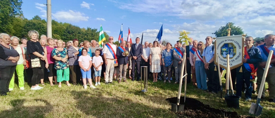 Arbre de la paix Servare et Manere Tree of Peace Lenartov Marek Sobola Strom pokoja (1)